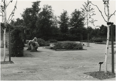 193846 Serie van 5 foto's betreffende de tuinen in het Philips van Lenneppark. De kruidentuin, 1978