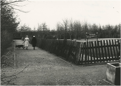193853 Het wandelen met de hond bij het hertenkamp in het Philips van Lenneppark, 03-1980