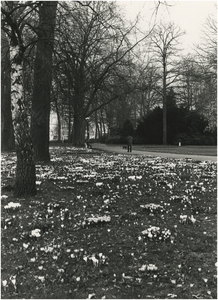 193955 Dommelplantsoen gezien richting het gebouw van de Technische Dienst aan het Frederik van Eedenplein, 1980