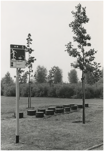 195331 Serie van 4 foto's betreffende: trimbaan Jacob Reviuslaan - Boutenslaan. Onderdeel 6: vierkanten springen, 27-08-1973