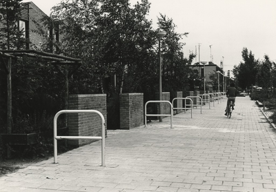 195779 Hekjes op het trottoir om voetgangers te beschermen tegen fietsers, 04-07-1978