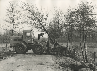 251614 Het uitgraven van bomen door medewerkers van de Plantsoenendienst, 1975 - 1980