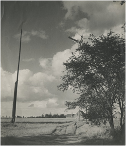 270301 Schietboom in akker, jongen op fiets in gebied Mortelakkers, 1950 - 1960