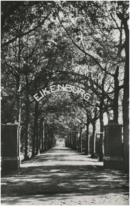 152 Aalsterweg 289, Pensionaat Eikenburg, poort en oprijlaan, 1949 - 1951