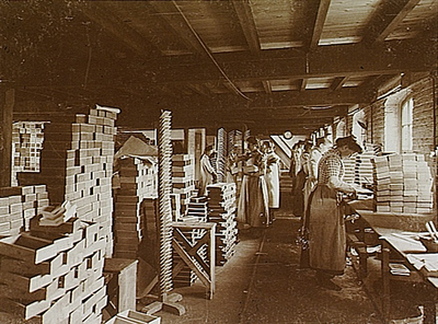 4362 Productieproces in een sigarenfabriek: Pakkerij oud gebouw , 1905