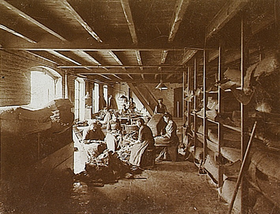 4364 Productieproces in een sigarenfabriek: Losmakerij oud gebouw , 1902