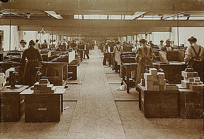 4365 Productieproces in een sigarenfabriek: Sorteerkamer oud gebouw , 1910