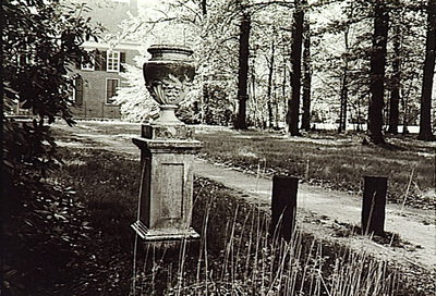 8842 Een tuinvaas bij het kasteel Eckart aan de Nueneseweg te Eindhoven, 1982