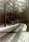 8992 Winteropname van Soeterbeekseweg, nabij de 'Soeterbeeksebrug', 12-1978