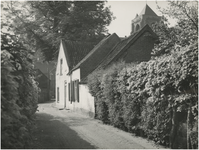 20462 Algemeen overzicht van de Noyenstraat, richting Kerkstraat. De beukenheg rechts grenst aan de tuin van de rk ...