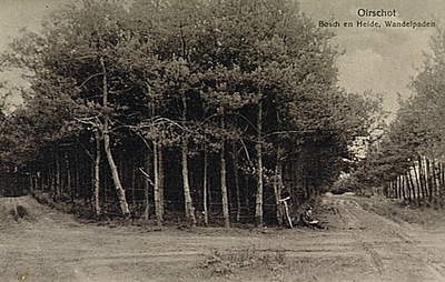 21473 Bos en wandelpaden in omgeving van landgoed 's-Heerenvijvers. Zittend J.J.C. van Bree, ca. 1915