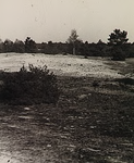 21474 Duinen op de Oirschotse heide, ca. 1975