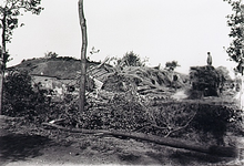 22012 Windhoos/zware storm op 12 december 1904 Ingestorte boerderij en omgewaaide bomen, 12-1904
