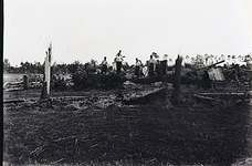 22017 Windhoos/zware storm op 12 december 1904 Ontwortelde en afgeknapte bomen, 12-1904