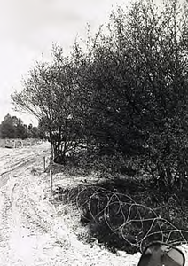 22220 Heide met door prikkeldraad afgezette paden in gebruik als tankbaan, 1985