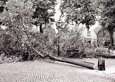 22338 Vandaal heeft 4 lindebomen op Markt omgezaagd, 22-09-1994