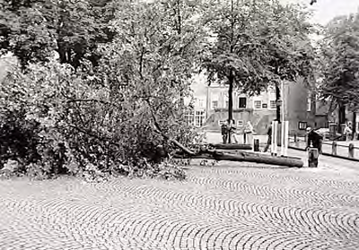 22340 Vandaal heeft 4 lindebomen op de Markt omgezaagd, 22-09-1994