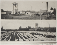 68164 Een collage van Linnenfabrieken J. Elias, Strijpsestraat 1a: 1. fabriekscomplex ; 2. Het drogen van linnen op het ...