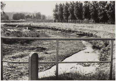 68462 Serie van 5 foto's betreffende de droogte in het stroomgebied van de Tongelreep in de zomer van 1976. Tongelreep, ...