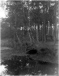 128171 Een ven in Natuurmonument Malpiebeemden, 20-10-1938