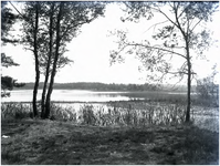 128175 Een ven in Natuurmonument Malpiebeemden, 22-06-1937