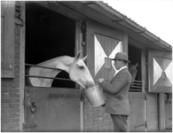 128354 Manege. Een paard krijgt water te drinken, 22-09-1937