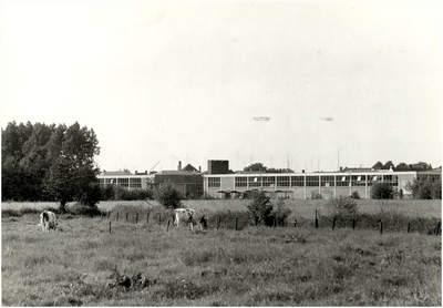 129243 Dommelstraat-Noord. Industrieterrein Goevaerts. ( gene zijde Dommelstraat ), ca. 1965