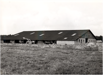 129413 Bouw boerderij H.J.P.C.Smits, Turfweg, 1960 - 1970