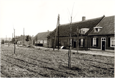 129433 Heers, boerderijen gezien in de richting van de 'Heerseweg', 1970