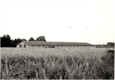 129456 Kippen & kuikenboerderij van Hulst, Heiberg 26, 1975 - 1985