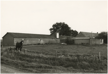 130014 Polderstraat 7, wei en schuren bij boerderij, 10-1978