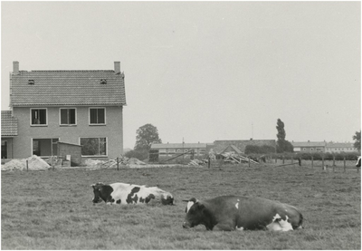 130187 Roskam, boerderij in aanbouw, gezien in de richting van Zonderwijk, 1960 - 1970