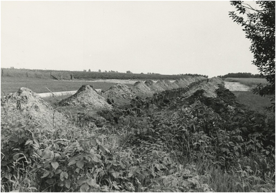 130557 Agrarische omgeving: Greppel gegraven voor aardgasleiding, uiterst links een stukje zichtbaar van de kerktoren ...