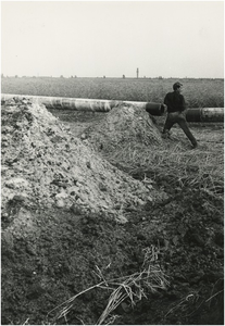 130558 Agrarische omgeving: Aanleg aardgasleiding in de gemeente Veldhoven, in de verte de kerktoren van d'Ekker, 1968