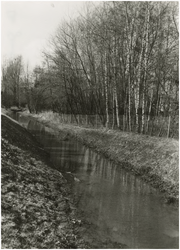 130800 Natuurgebied: waterloop de Gender ter hoogte van de 'Runstraat', 1980