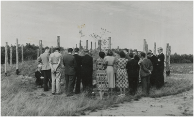 131251 Serie van 4 foto's ter gelegenheid van de feestelijke overdracht op 15 juli 1956, van de grafheuvels te ...