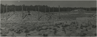 131252 Serie van 4 foto's ter gelegenheid van de feestelijke overdracht op 15 juli 1956, van de grafheuvels te ...
