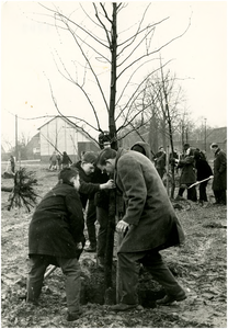 131525 Schooljeugd plant bomen, 03-1968