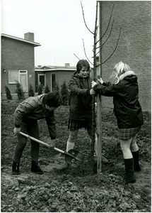 131543 Drie meisjes planten een boom, 03-1968