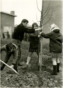 131547 Drie meisjes planten een boom met behulp van gemeentewerker dhr. Geerlings, 03-1968