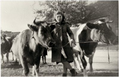 145091 Anna ( Anneke ) Bos tussen de koeien, ca. 1965