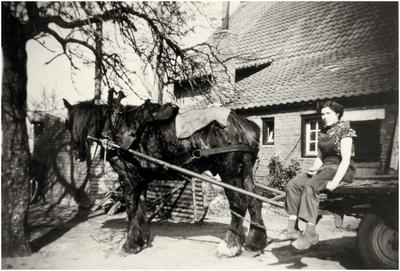 145092 Anna ( Anneke ) Bos zittend op paard en wagen, ca. 1955