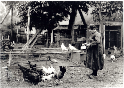145202 Het voeren van de kippen door Cathrina van Engelen, 12-1905 - 12-1915