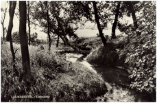 146461 Natuurgebieden in Stevensbergen, ca. 1965