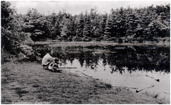 146463 Natuurgebieden, Zwartven, ca. 1965