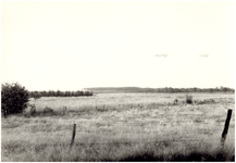 146466 Natuurgebieden, Stevensbergen, 07-1964