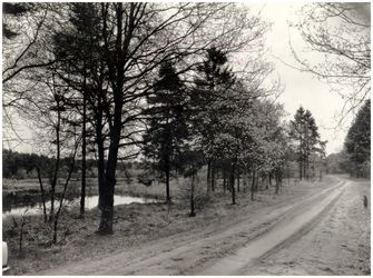 146478 Natuurgebieden, Stevensbergen, 05-1982