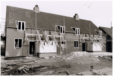 147270 Bieshof, 1981 - 1982