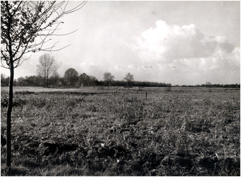 147542 Landelijke Omgewing & Natuurgebieden, ca. 1965