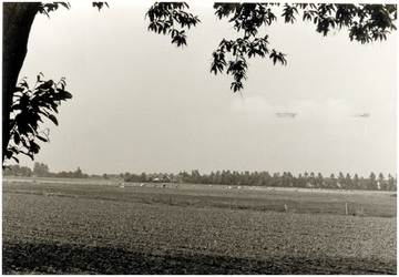 147551 Landelijke Omgewing & Natuurgebieden, ca. 1985